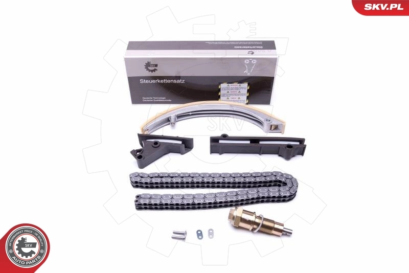 Timing Chain Kit